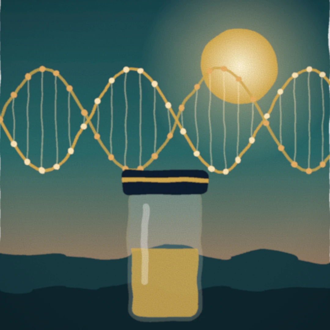 Placeholder illustration: a vial and an mRNA strand at dawn